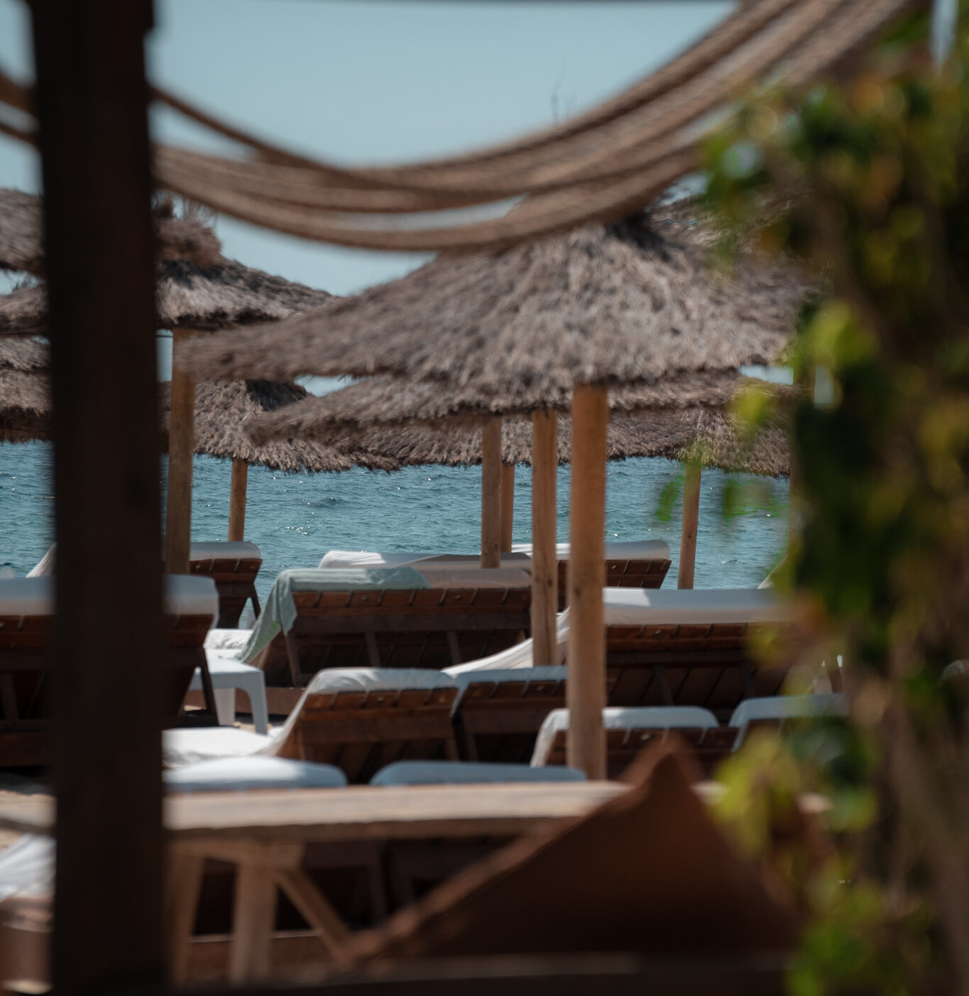 Zazú Ibiza