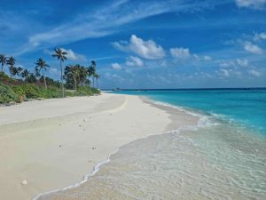Playa de Tulum con mar turquesa y palmeras al amanecer
