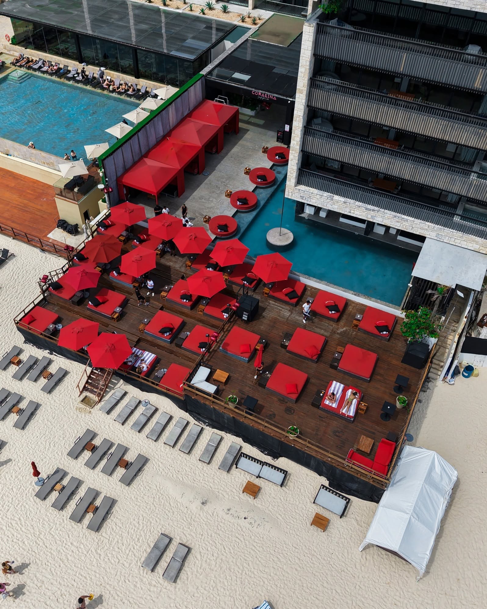 Coralina Daylight Club