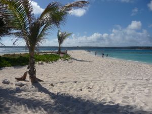 Sandy Island, cayo de arena frente a Anguilla, ideal para snorkel