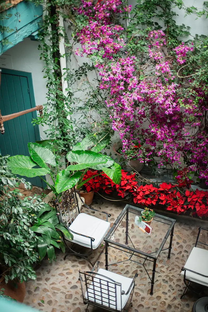 Hospes Las Casas del Rey de Baeza day pass