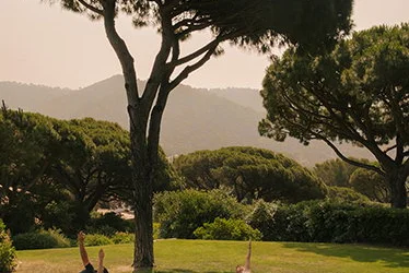 Shape Club de Lily of the Valley, cerca de Saint-Tropez