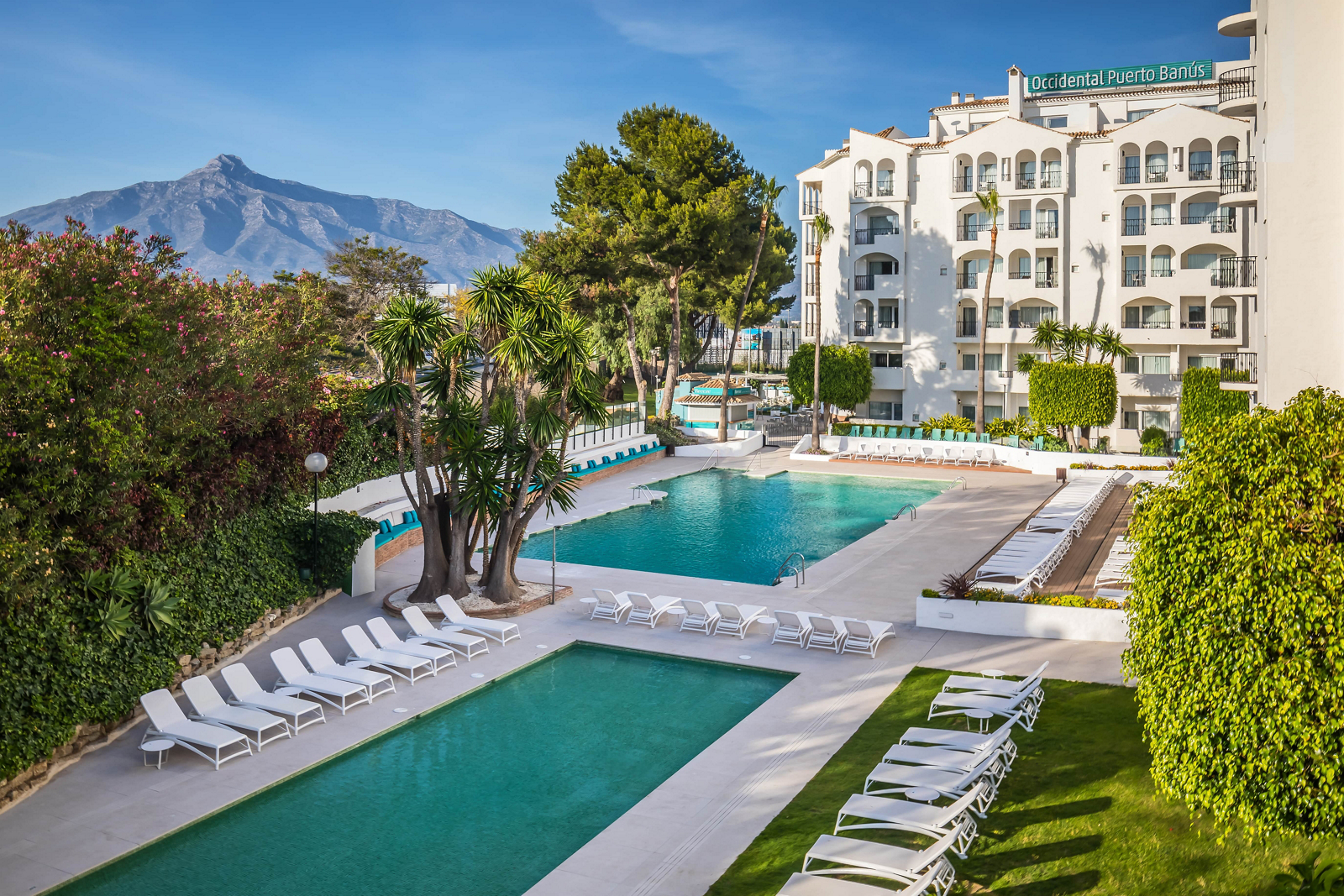 Occidental Puerto Banús day pass