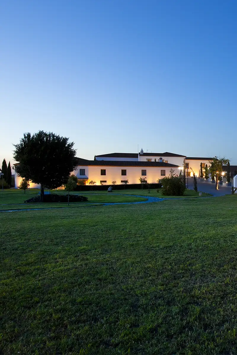 Hospes Palacio de Arenales & Spa day pass